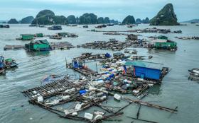 Bộ trưởng Lê Minh Hoan: Tránh chủ quan vì lũ rút sẽ phát sinh rất nhiều sự cố mất an toàn đê