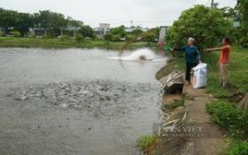 Hội Nông dân tỉnh Tuyên Quang xây dựng mô hình mới để hội viên làm giàu từ đồng vốn Quỹ HTND  第3张