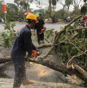 Bình Định: 12 tỷ đồng cứu trợ các tỉnh vùng bão lũ  第3张