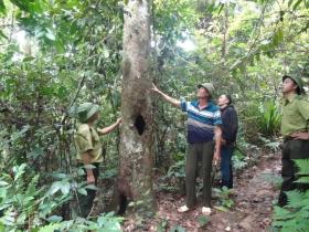  Loay hoay giải ngân tiền bán tín chỉ carbon 