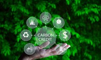  Loay hoay giải ngân tiền bán tín chỉ carbon 