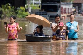 Thái Lan: Voi vượt lũ hỗ trợ người dân vùng ngập