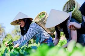 Mỏ vàng du lịch sáng tạo Việt Nam cần một cú hích lớn