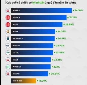 Nhiều quỹ 'cá mập' lãi lớn, vượt cả mức tăng của VN-Index, nhờ đâu?  第2张