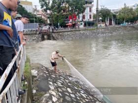 Sông Tô Lịch &quot;hồi sinh&quot; sau mưa lớn, người Hà Nội quăng chài, mang cần câu đánh bắt cá  第2张