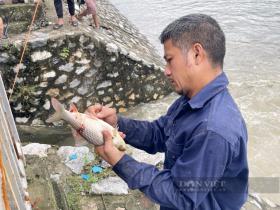 Sông Tô Lịch &quot;hồi sinh&quot; sau mưa lớn, người Hà Nội quăng chài, mang cần câu đánh bắt cá  第7张