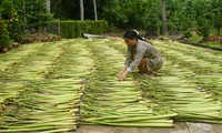  Tăng trưởng của Việt Nam nhanh như &apos;tên lửa&apos; 第7张