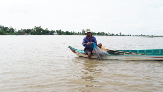  Một số nơi ở Đồng Tháp nguy cơ ngập vào đỉnh lũ giữa tháng 10 第3张