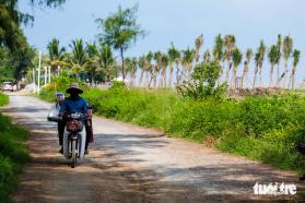 Cần Giờ: Kè biển trước khách sạn Gió Lộng bị phá để trồng dừa, công an vào cuộc  第2张