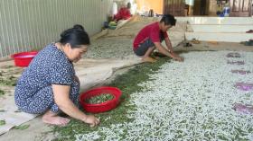  Thu nhập cao nhờ nghề &apos;ăn cơm đứng&apos; 第1张