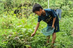 Bố mẹ ly dị, cậu bé sống một mình trong căn nhà tạm dột nát  第4张