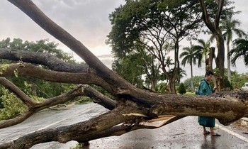  Quảng Bình: Một người bị lũ cuốn mất tích khi đang làm nhiệm vụ cứu hộ, cứu nạn 