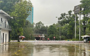 Thị trường ô tô cũ sôi động, dân buôn xe dốc lực cho &quot;giai đoạn vàng&quot;