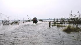  Chưa hết lụt, nhiều vùng trũng Thừa Thiên-Huế đối mặt mưa cực lớn, úng ngập trầm trọng 第9张